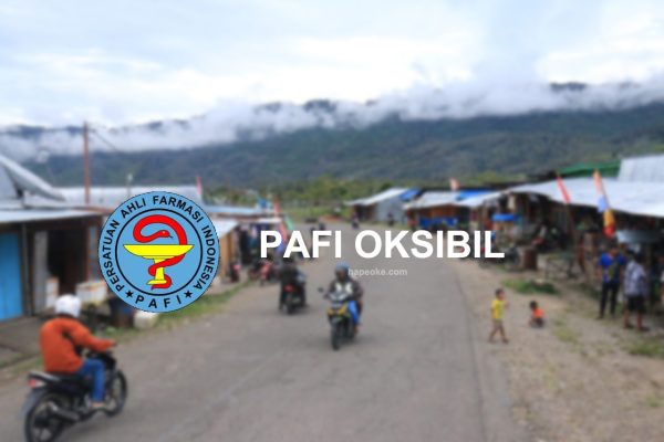 pafioksibil.org